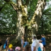 IMG-20190626-WA0008