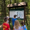 IMG-20190626-WA0009